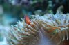 DSC_1291.jpg