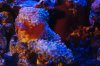 DSC_1316.jpg