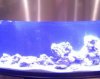 tank3.jpg