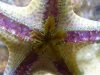 star03.jpg