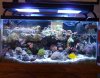 38 gal (Small).jpg