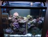 24 gal (Small).jpg