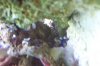 100_2090.jpg
