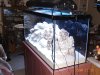 4 15 09 #3.JPG
