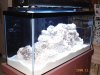 4 15 09 #8.JPG