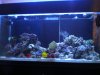 Picture 050.jpg