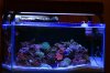 FTS-Nov29-08.jpg