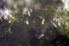 _DSC8350.JPG