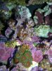 DSCN3688.jpg