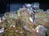 DSCN3691.jpg
