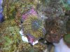 DSCN3694.jpg