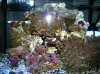 DSCN3704.jpg
