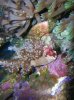 DSCN3701.jpg