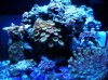 DSCN3707.jpg