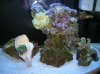 DSCN3748.jpg