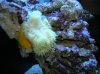 DSCN3740.jpg