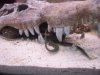 100_1119.jpg