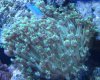 DSC02394.jpg