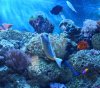 DSC02416.jpg
