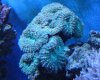 DSC02396.jpg