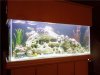 fish tank.jpg