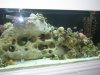 fish tank 2.jpg