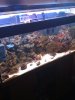 full tank1.jpg