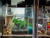 Sump2.jpg