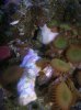 DSCN3693.jpg