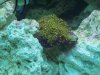 100_1257.jpg