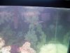 100_1276.jpg