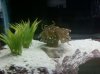 05081221.jpg