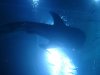 corys 083.jpg