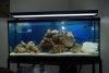 DSC_0152.JPG