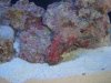 DSC00236.jpg