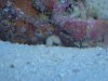 DSC00240.JPG