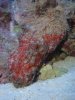 DSC00245.JPG