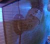 DSC02492.jpg