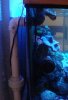 DSC02493.jpg