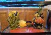 DSC02494.jpg