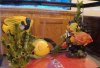 DSC02495.jpg