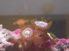 DSCN1905.jpg