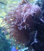 DSC02372.jpg