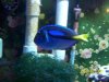 happysspotsmall withcircles43reef .jpg