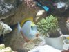 DSCN0569.JPG