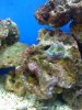 IMG_0193_1.jpg