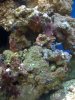 IMG_0194_1.jpg
