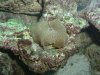 DSCF0188.JPG