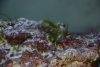 FIsh trouble 009.jpg