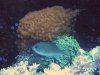 my pics 029.jpg